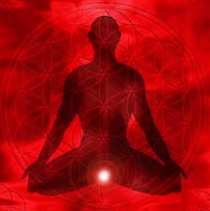 The Root chakra or "Muladhara" derived from two sanskrit words - "mula" meaning "root", and "adhara" meaning "support", is located at the base of the spine, the pelvic floor and the first three vertebrae. Muladhara is the first of our energy centers and forms the basis and starting point of our development. It is associated with stability,security and our basic needs. It provides the links between our energetic system and the physical world. When it comes to our physiological and spiritual nature, it helps us to develop our personal integrity, self-esteem and sense of belonging and to be grounded to mother earth.